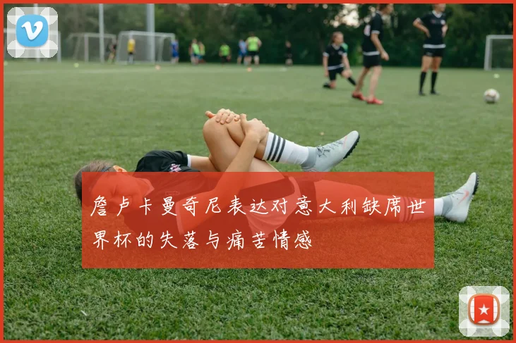 詹卢卡曼奇尼表达对意大利缺席世界杯的失落与痛苦情感