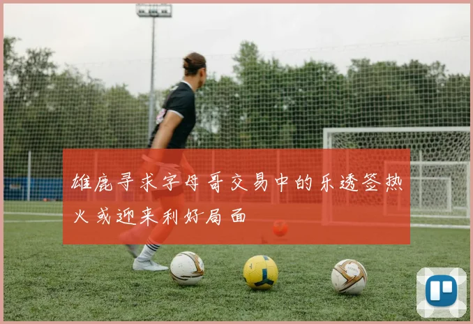 雄鹿寻求字母哥交易中的乐透签热火或迎来利好局面